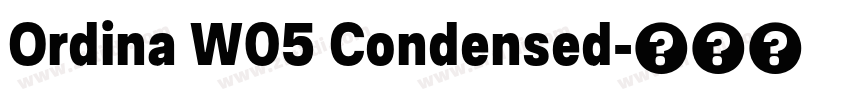 Ordina W05 Condensed字体转换 Ordina W05 Condensed字体转换